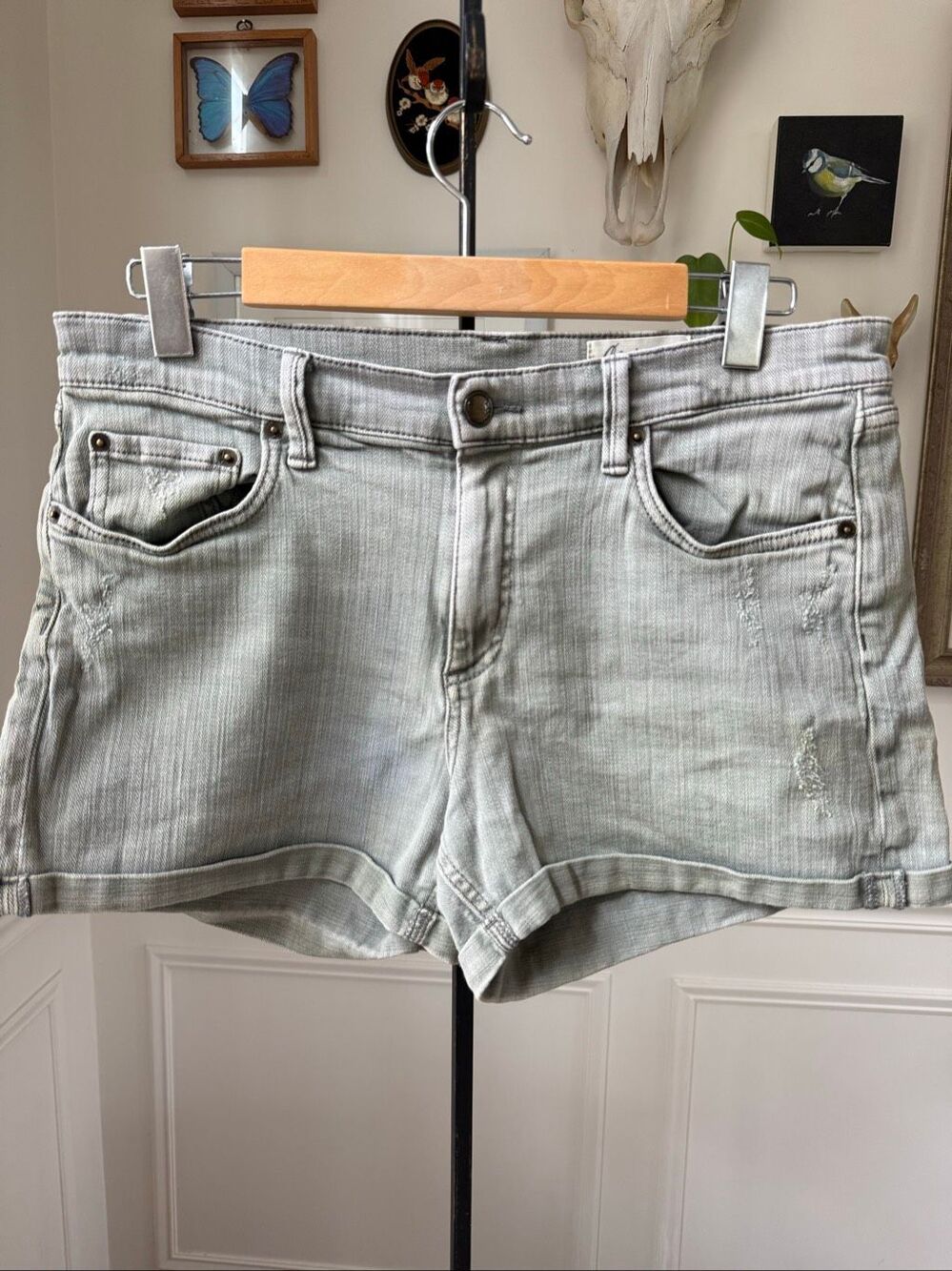 Cosmic Blue Love Olive Sage Green Denim Shorts 30